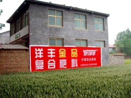 毕节如何让墙体广告展现最大化效果